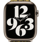 Apple Watch Uyumlu Metal Milano Loop SunSavage bikordon