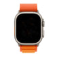 Apple Watch Uyumlu Alpine Loop Kordon Persimmon  bikordon