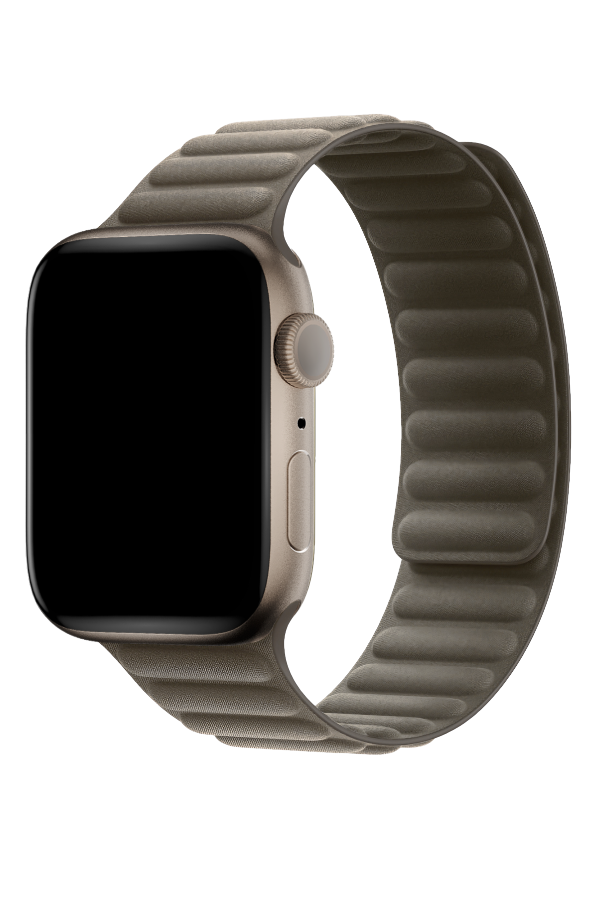 Titanium watch apple hotsell
