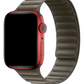 Apple Watch Compatible Link Loop Band Titanium 