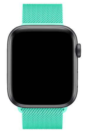 Apple Watch Compatible Steel Milano Loop Water Green 