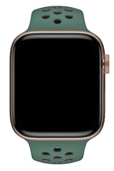 Apple Watch Uyumlu Silikon Delikli Spor Kordon Aventurin