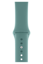 Apple Watch Uyumlu Silikon Spor Kordon Kaktüs Yeşil  bikordon