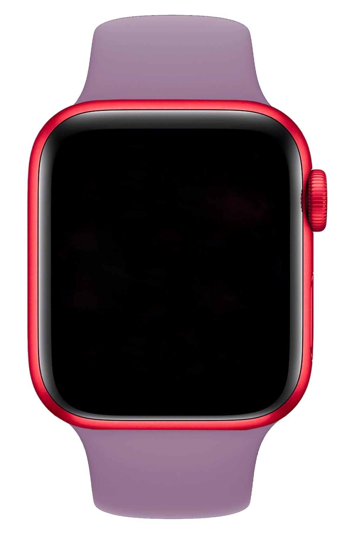 Apple Watch Uyumlu Silikon Spor Kordon Lavanta  bikordon