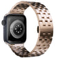Apple Watch Compatible Steel Steel Loop Band Carey 