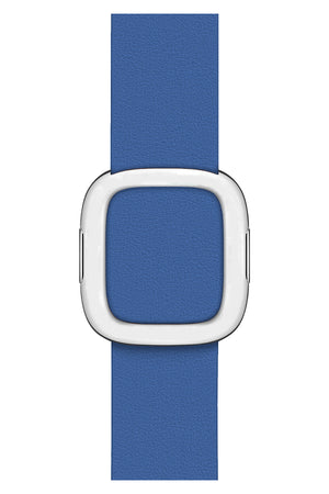 Apple Watch Compatible Radius Leather Loop Band Dodger 