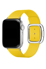 Apple Watch Compatible Radius Leather Loop Band Gramma 