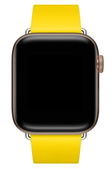 Apple Watch Compatible Radius Leather Loop Band Gramma 