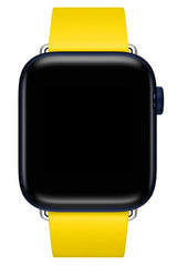 Apple Watch Compatible Radius Leather Loop Band Gramma 