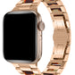 Apple Watch Compatible Wiwu Resin Loop Band Aspen 