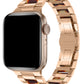 Apple Watch Uyumlu Wiwu Resin Loop Kordon Aspen  Wiwu
